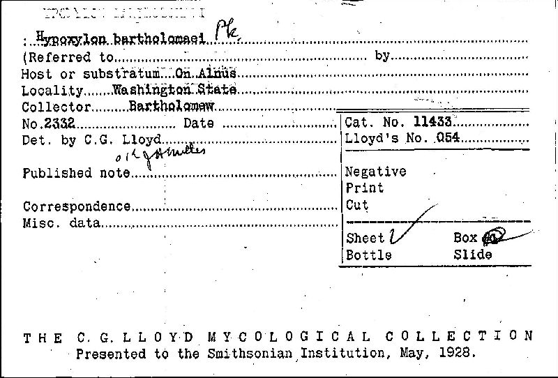 Biscogniauxia bartholomaei image