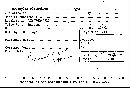 Hypoxylon ellipticum image