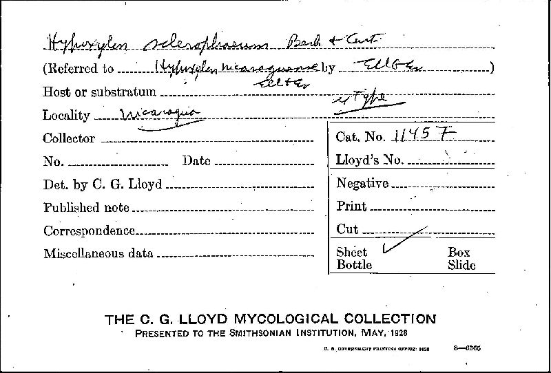 Hypoxylon nicaraguense image