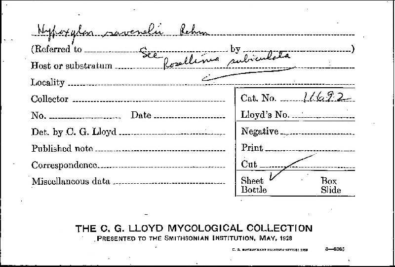 Hypoxylon ravenelii image