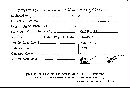 Annulohypoxylon truncatum image