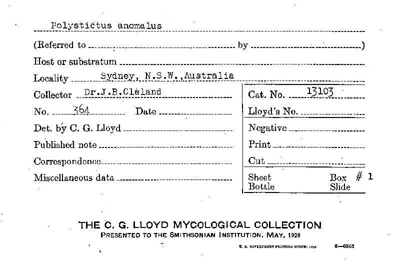 Polystictus anomalus image