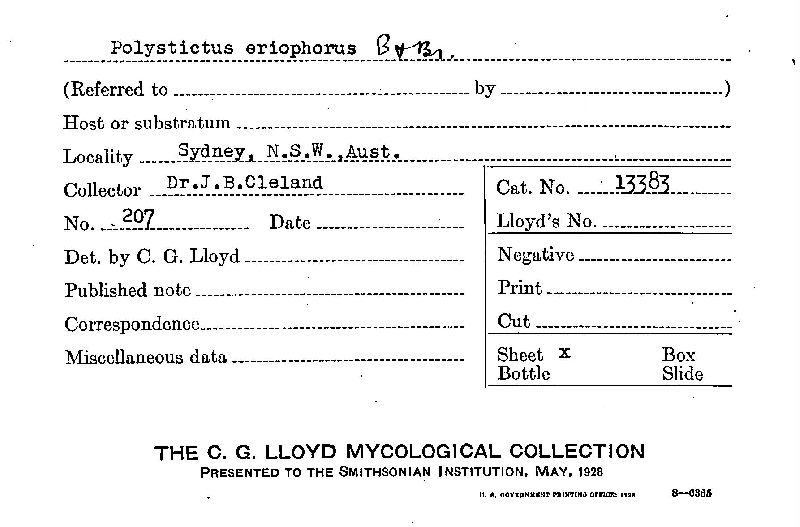 Polystictus eriophorus image