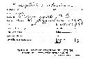 Trichaptum abietinum image