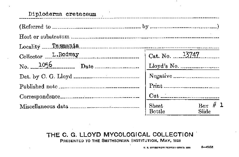 Nothocastoreum image