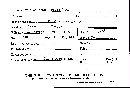 Bjerkandera adusta image