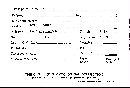 Bjerkandera adusta image
