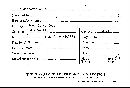 Seismosarca alba image