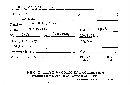 Dacryopinax spathularia image