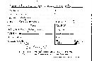 Scleroderma tenerum image