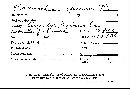 Antrodia albida image