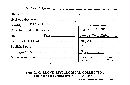 Caloscypha fulgens image