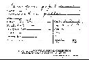 Encoelia fascicularis image