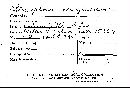 Chlorociboria aeruginosa image