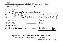 Chlorociboria aeruginosa image