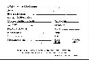 Disciseda hyalothrix image