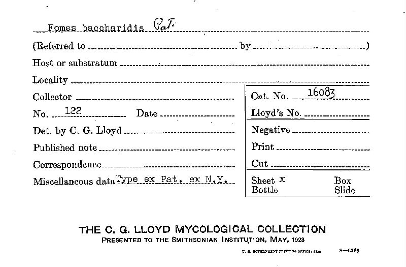 Fomes baccharidis image