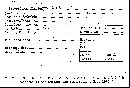 Scleroderma flavidum image