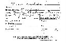 Hyphodontia radula image