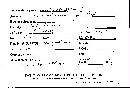 Steccherinum ochraceum image