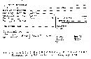 Steccherinum ochraceum image