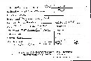 Steccherinum ochraceum image