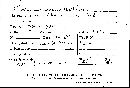 Steccherinum ochraceum image