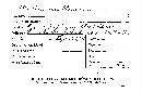 Trechispora mollusca image