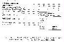 Hydnum scabripes image