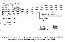 Hydnum caespitosum image