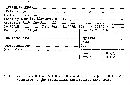 Fomitiporia punctata image