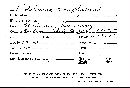 Sistotrema confluens image