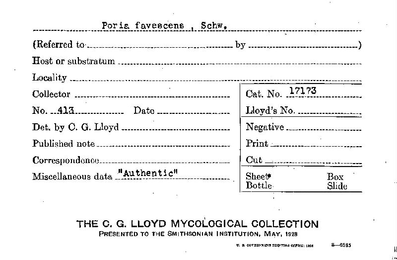 Poria favescens image