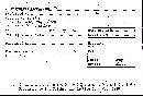 Inonotus dryophilus image