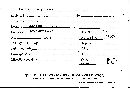 Scleroderma polyrhizum image