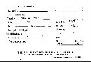 Scleroderma polyrhizum image