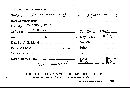 Scleroderma polyrhizum image