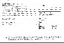 Bjerkandera adusta image