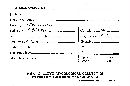 Steccherinum ochraceum image