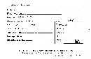 Steccherinum ochraceum image