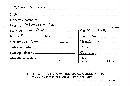 Steccherinum ochraceum image