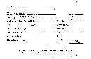 Steccherinum ochraceum image
