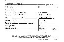 Steccherinum ochraceum image