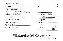 Steccherinum ochraceum image