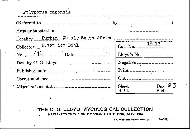 Ganoderma capense image