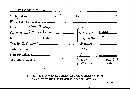 Abortiporus biennis image