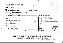 Scleroderma tenerum image