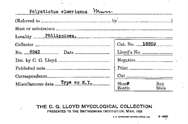 Phylloporia chrysites image