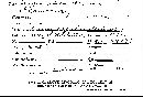 Clavulinopsis laeticolor image