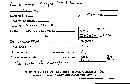 Ramariopsis kunzei image